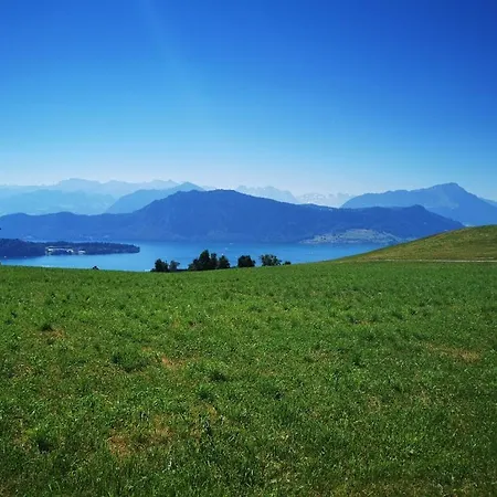 Marmottin Lucerna